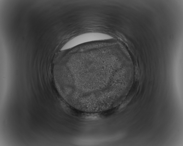 X0000084570377200703231827