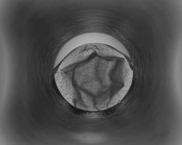 X0000084570378200703231827