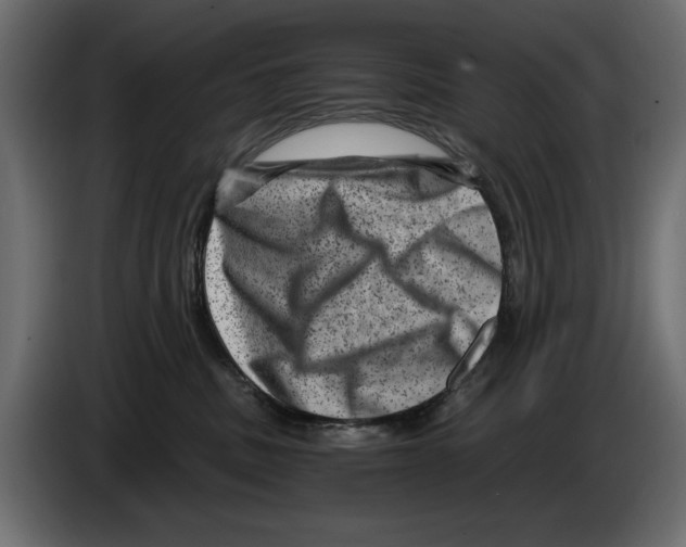 X0000084570379200703231827