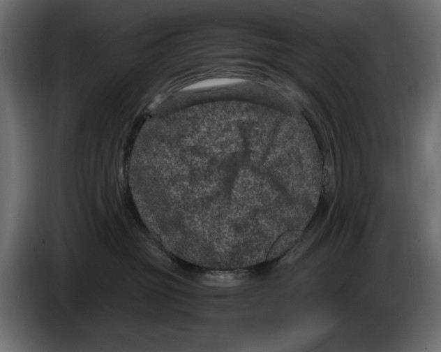 X0000084570381200703231827