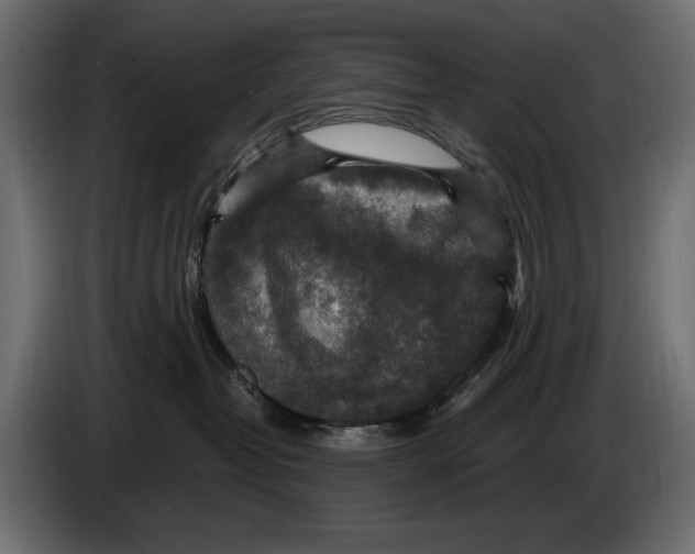 X0000084570382200703231827