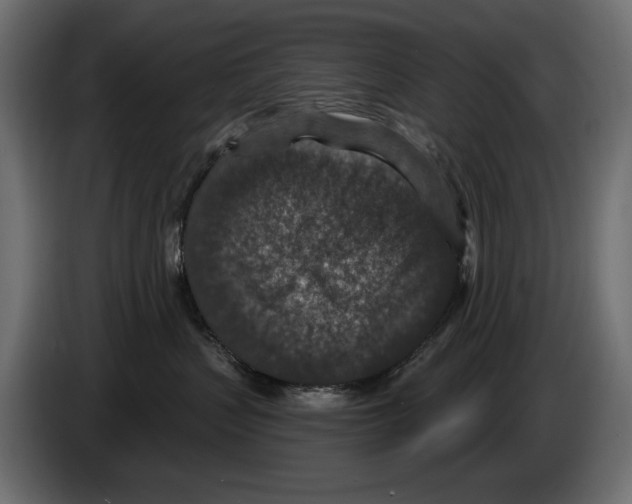 X0000084570383200703231827