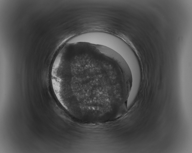 X0000084570386200703231826