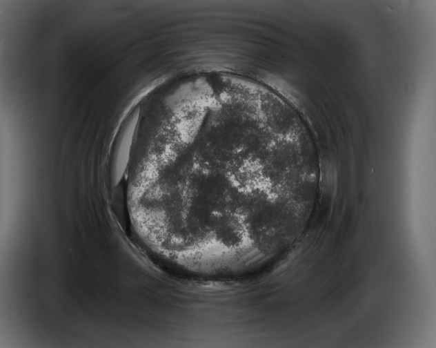 X0000084570390200703231826