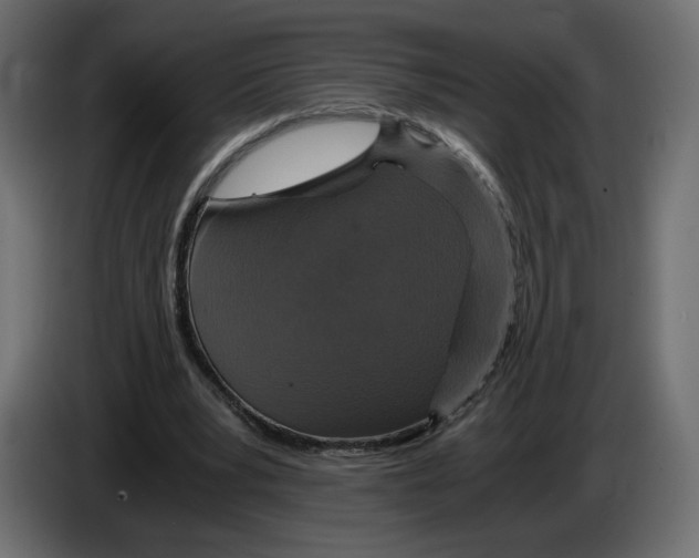 X0000084570391200703231826