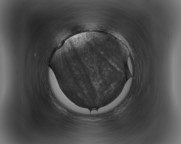 X0000084570393200703231826