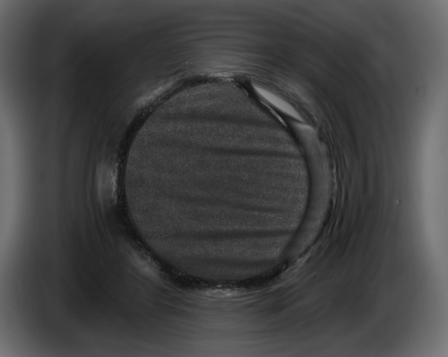 X0000084570404200703231826