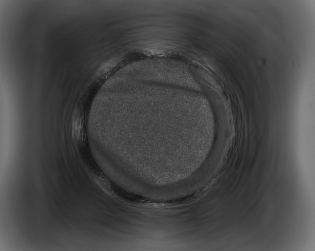 X0000084570408200703231826