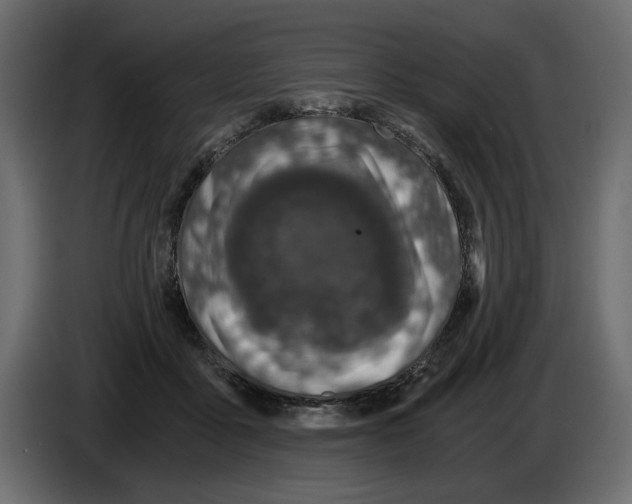 X0000084570411200703231826