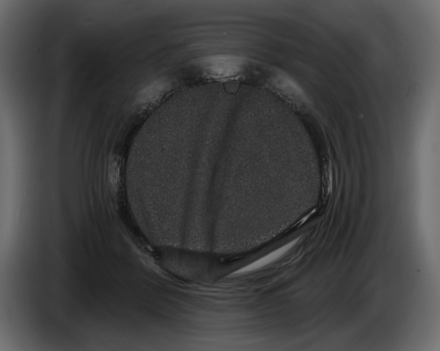 X0000084570412200703231826