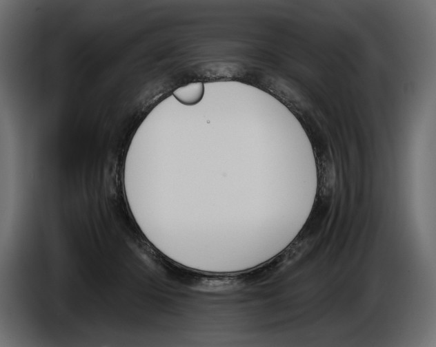 X0000084570414200703231826