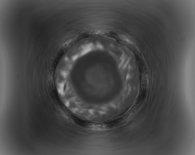 X0000084570415200703231826