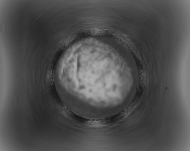 X0000084570419200703231826