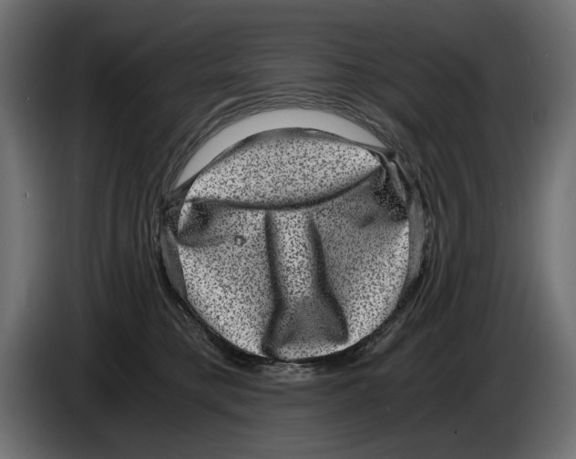 X0000084570421200703231826