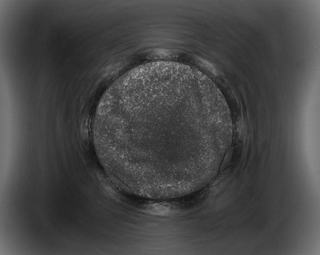 X0000084570423200703231825