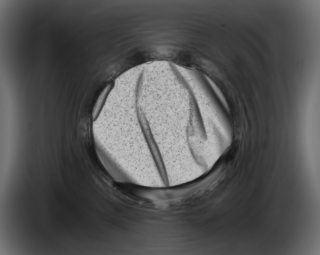 X0000084570425200703231825