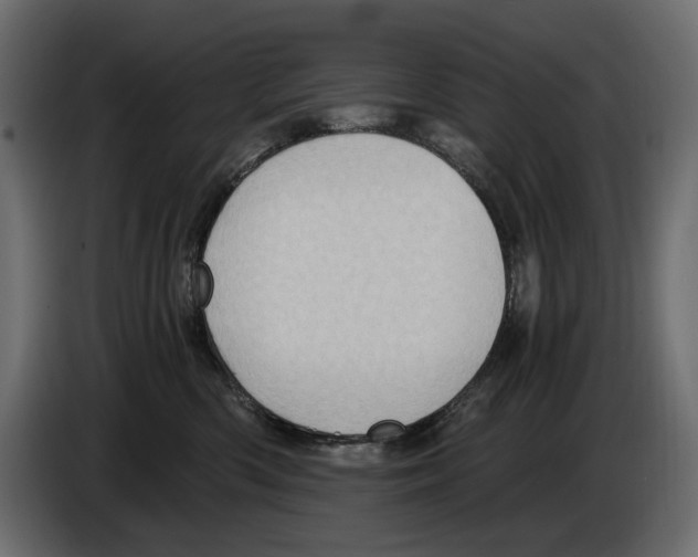 X0000084570426200703231825