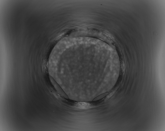 X0000084570429200703231825