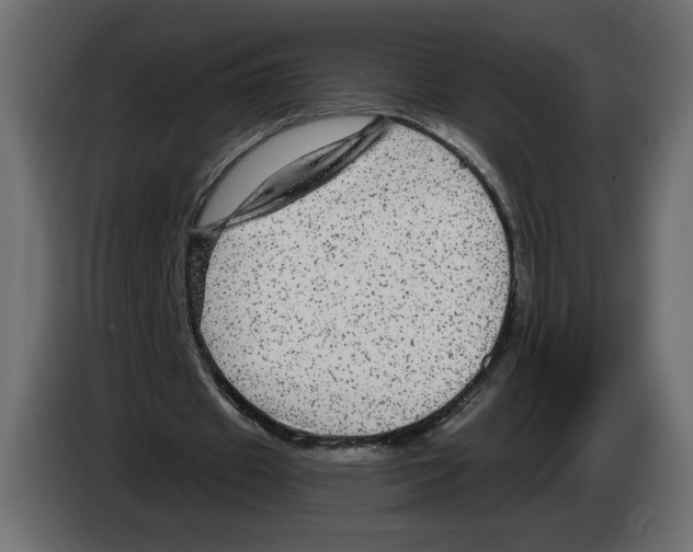 X0000084570433200703231825