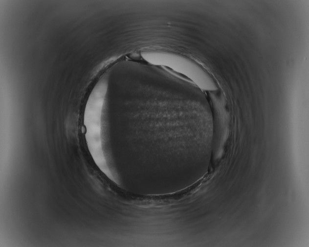 X0000084570434200703231825