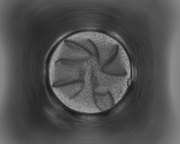 X0000084570435200703231825