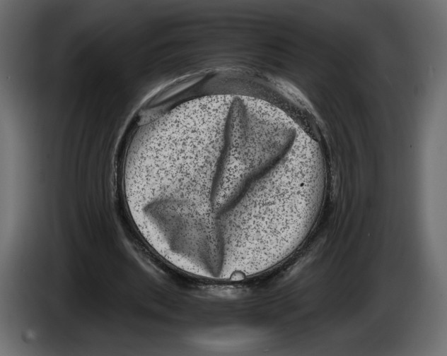 X0000084570439200703231825