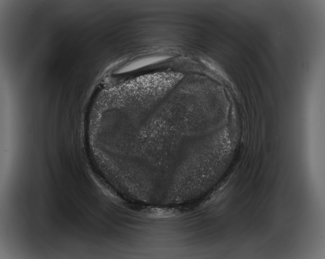 X0000084570442200703231825