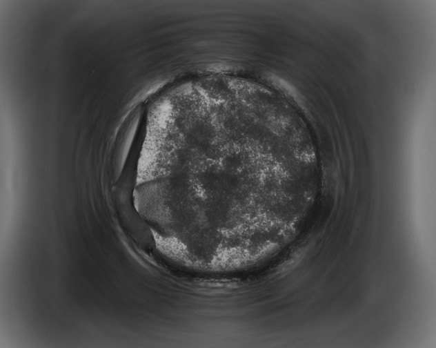 X0000084570443200703231825