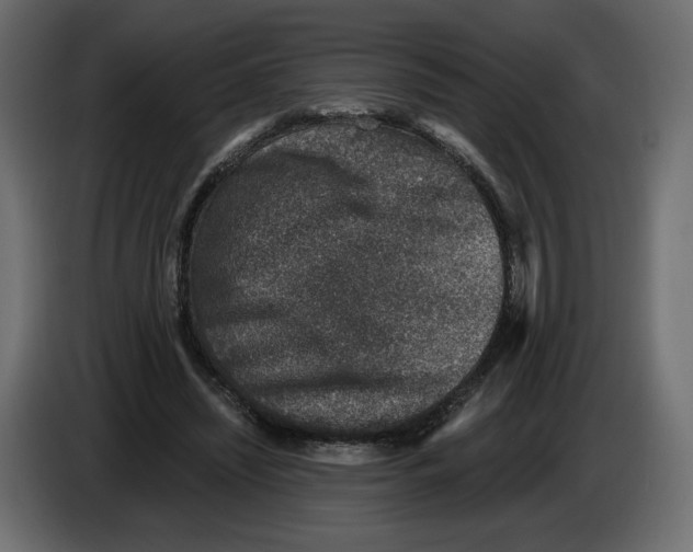 X0000084570444200703231825