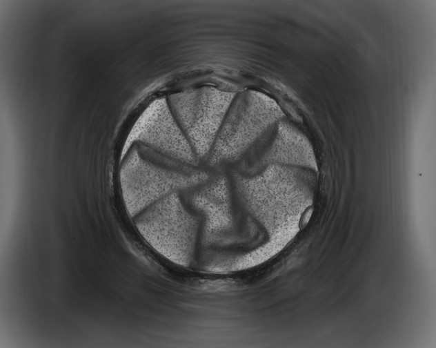 X0000084570446200703231825