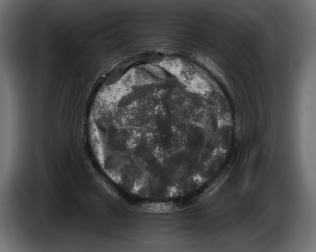 X0000084570449200703231825