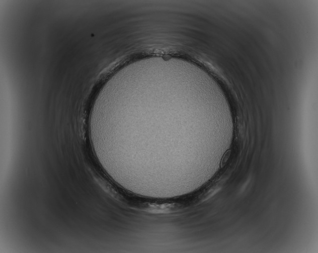 X0000084570450200703231825