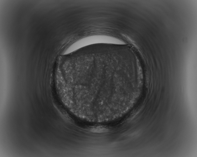 X0000084570451200703231825