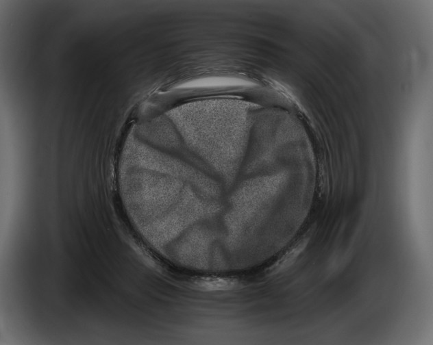 X0000084570453200703231825