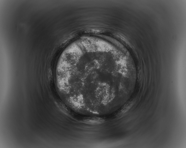 X0000084570459200703231825