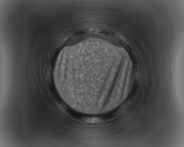 X0000084570460200703231825