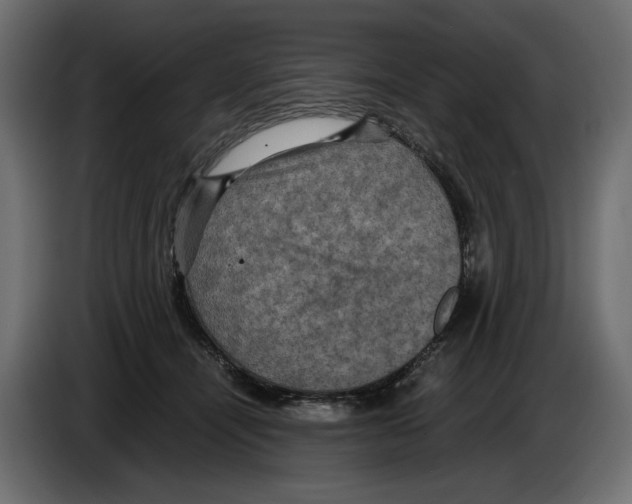 X0000084570464200703231825