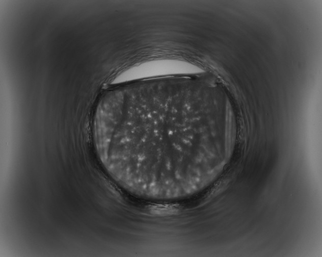 X0000084570465200703231825