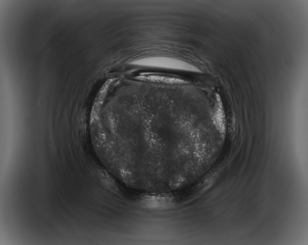 X0000084570466200703231825