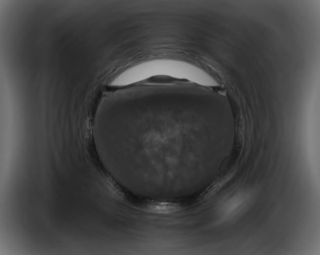 X0000084570467200703231825