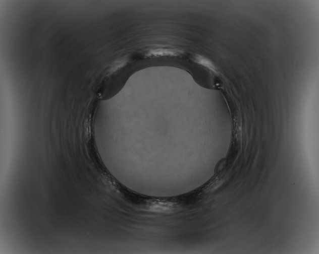 X0000084570471200703231825