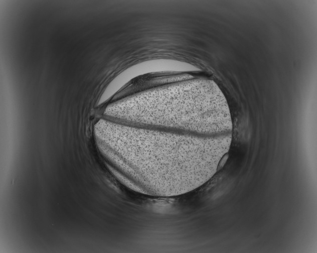 X0000084570474200703231825