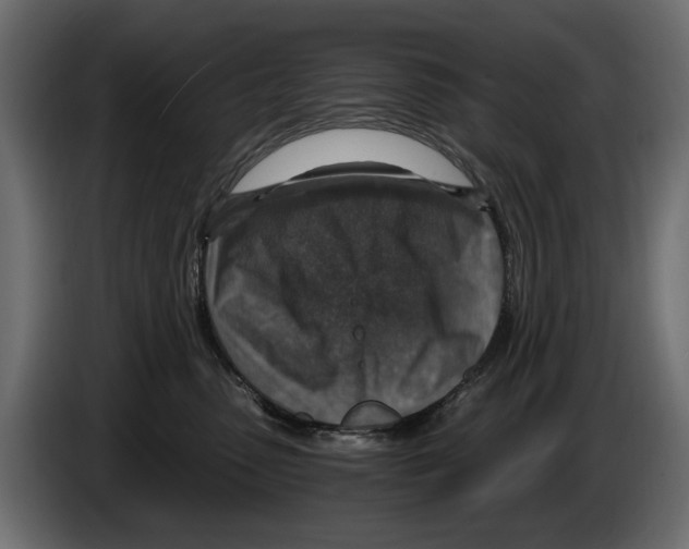 X0000084570475200703231825