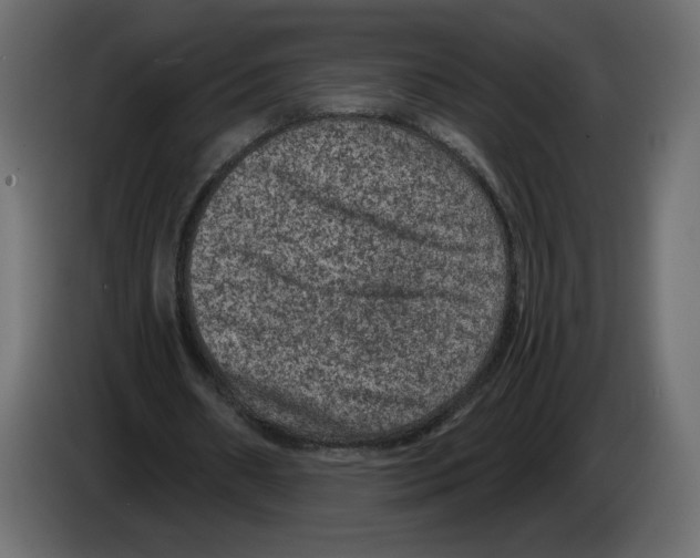 X0000084570482200703231825