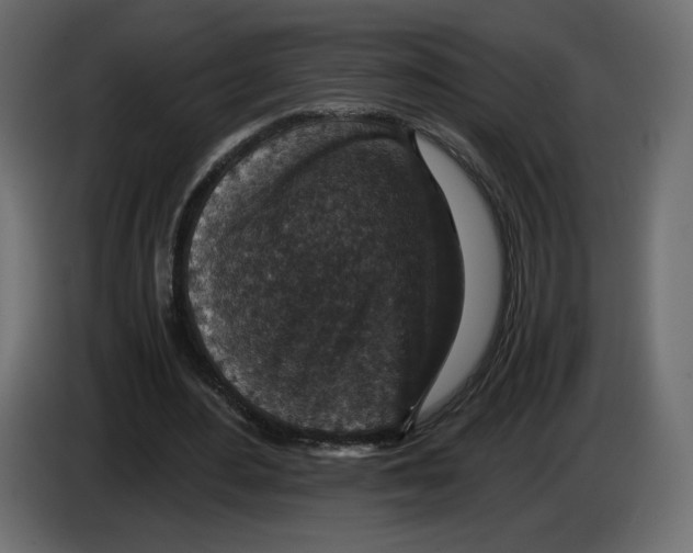 X0000084570484200703231825