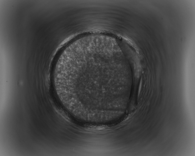 X0000084570488200703231825