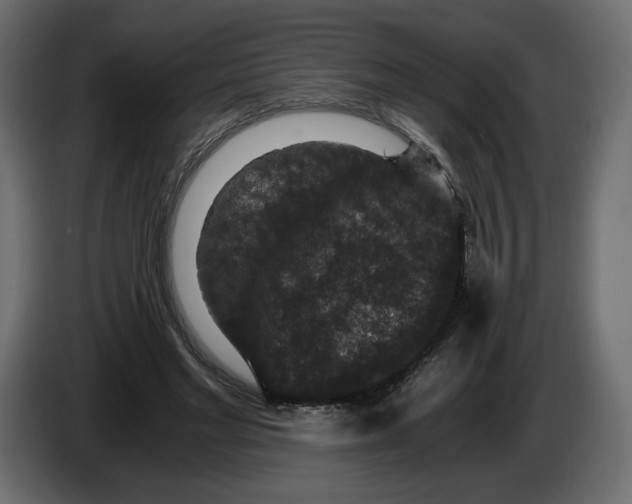 X0000084570493200703231824