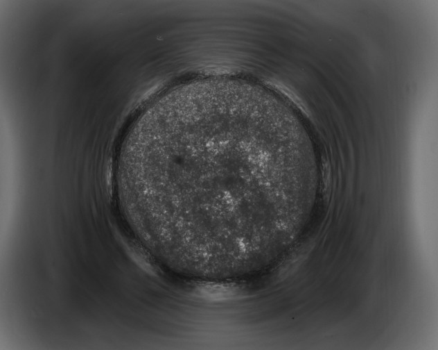 X0000084570494200703231824