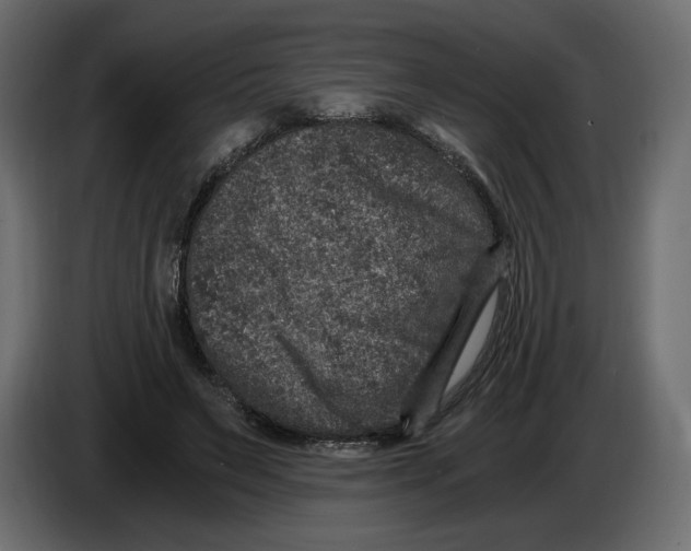 X0000084570495200703231824