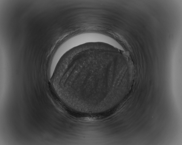 X0000084570496200703231824